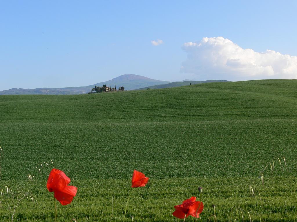 Le Rogheta Villa Campiglia d'Orcia Luaran gambar